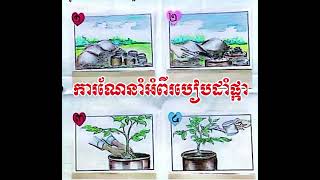 ថ្នាក់ទី៤ អត្ថបទស្ដាប់៖ ការណែនាំអំពីរបៀបដាំផ្កា