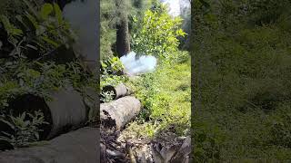Exploding Sutli Bomb Inside The Tree Experiment Shorts Expriment Bomb Raghavarockstar112