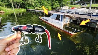 I Tried To Catch Fish Out Of This Sunken Boat!! + ( Rat Lure Challenge)