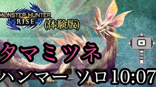 【MHRise Demo】タマミツネ討伐 ハンマー ソロ 10:07/Mizutsune Hammer solo【モンハンライズ体験版】