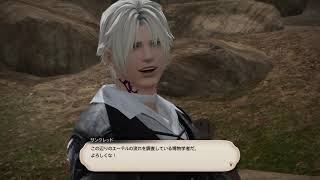 【FF14】30日間一本勝負　2日目【PS5】