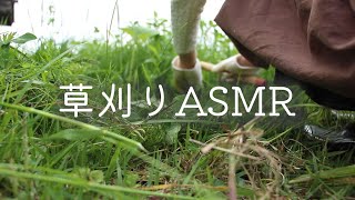 ASMR｜草刈りするだけの動画｜作業用BGM