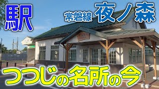 つつじの名所は今....～常磐線夜ノ森(よのもり)駅･2023年9月 #常磐線 #夜ノ森駅 #橋上駅