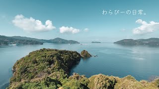 【旅vlog】山口｜笠戸島｜国民宿舎 大城