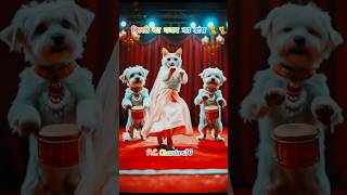 AI CAT dancing video#AI short video#AI 🐈#bollywood song Tamanna ji