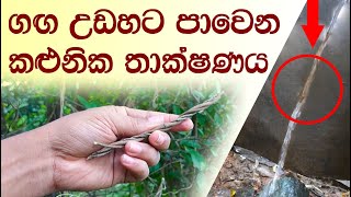 කලුනික සහ සර්.පිලයේ තාක්ෂණය ප්‍රයෝජනයට ගමු | Spiral shape and KALUNIKA @ketayama