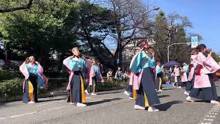 第55回くにたち秋の市民祭り　よさこい白糸緑風会