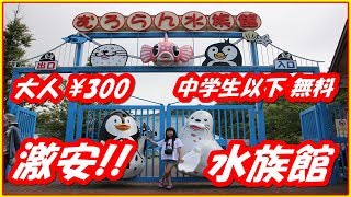 キャンピングカーの旅  激安!!北海道、室蘭水族館に行って来ました～