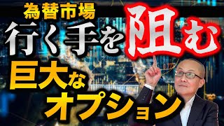 【2024年12月17日】為替市場  行く手を阻む  巨大なオプション　相場がこう着する背景は複数　①相場観のきっ抗  ②重要イベントで売買手控え  ③資金フロー的な売買のきっ抗 オプションの存在は③