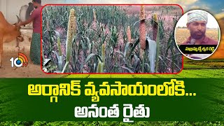 Anantapur Farmers In Organic Farming | అర్గానిక్ వ్యవసాయంలోకి... అనంత రైతు | Matti Manishi | 10TV