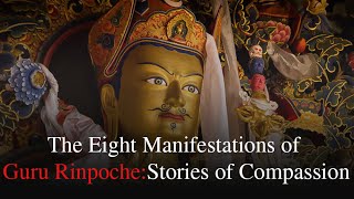 The Eight Manifestations of Guru Rinpoche: Stories of Enlightenment and Compassion #gururinpoche