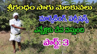 Sandalwood Crop Cultivation Farming Techniques || How To Get Srigandham Cutting Permission in Telugu