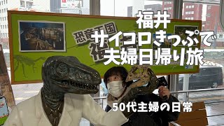 【50代夫婦日帰り旅】サイコロきっぷで福井日帰り旅｜アラフィフ夫婦旅｜恐竜がケンカ？！｜福井グルメを堪能！越前おろしそば・ソースかつ・蟹・福井地酒｜福井城｜養浩館