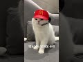 너무 인상써서 논란 맥도날드 해피밀 mcdonalds