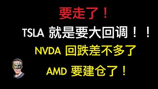 NVDA还有上涨趋势；TSLA要大回调了，再不走就要套的死死的；AMD有大回调结束的趋势，完全可以建仓了；MSTR整体还能下跌一点