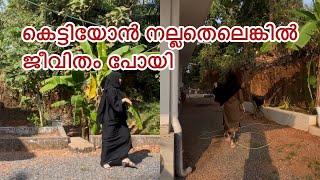 ഞാൻ കെട്ടാൻ പോകുബോൾ ആഗ്രഹിച്ചത് ഇങ്ങനെയൊക്കെ ആയിരുന്നു😛