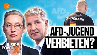 Warum der AfD nun die eigene Jugendorganisation gefährlich wird | Inside PolitiX