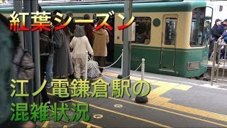 【紅葉シーズン】江ノ電鎌倉駅の混雑状況