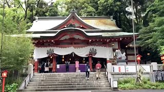 「来宮神社」を巡る