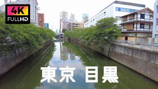 【4K】東京 目黒駅周辺を散歩 権之助坂 大鳥神社 行人坂 | Walk around Meguro Station in Tokyo. (Jun.2021)