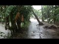 heavy rain and terrible lightning in a remote village thunderstorms hit village life in indonesia