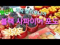 🍇밀양 장날 마실 첨보는 블랙 사파이어 가지포도 🍇