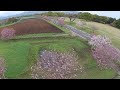 空撮　ドローン　西都原古墳群　菜の花　桜　2015