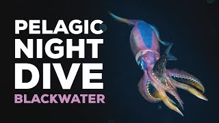 Kona Blackwater Dive