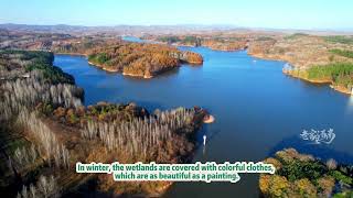 In winter, the wetlands in Nanyang, China, are as beautiful as a painting.#beautiful  #painting