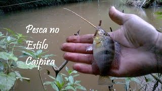 Pescaria de mandi-chorão, Cará, Lambari e Bagre (Jundiá) com vara de bambu (Pesca Caipira)