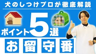 【犬お留守番】長時間のお留守番のさせ方５選とお留守番の考え方【しつけ】