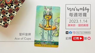 230114｜粵/國語 (10:55)｜聖杯皇牌 Ace of Cups