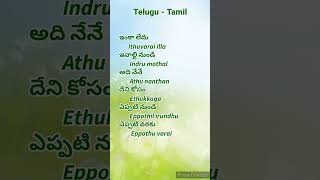 Learn Tamil small sentences।।Tamil sentences through Telugu।।Learn Tamil through Telugu
