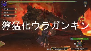 mhxx　実況　攻略１０１２ 集会所　HR１２　Ｇ４　採掘場を取り戻せ！