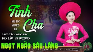 Tình Cha (Sáng Tác : Ngọc Sơn) | Đàn Bầu NS BÙI XUÂN➤Liên Khúc Hòa Tấu Đàn Bầu Xiêu Lòng Người Nghe