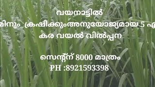 WAYANAD FARM PROPERTY