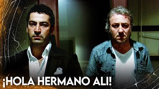 Le Conficeso a Ali Que Soy Omar! | Ezel Bayraktar - Audio Español