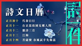 詩文日曆系列3：正月初十——十四 【詩伴直播】#傳統文化 #中國 #古詩詞 #睡眠