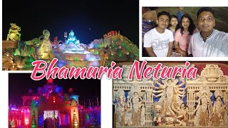 Bhamuria durga puja 2023 opening || Neturia durgapuja| Sarbari more