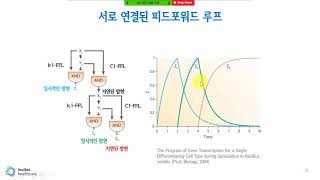 5강 - 서로 연결된 피드포워드 루프