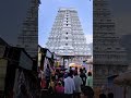 arunachalam raja gopuram