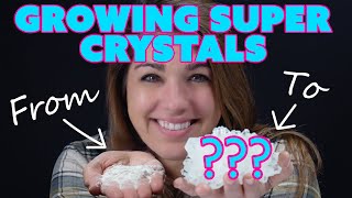 Growing ADP Mega Crystals w/a Geologist