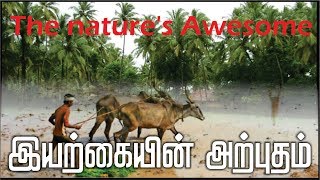 இயற்கையின் அற்புதம் | The Wonder of Nature | Nalamudan Naam நலமுடன் நாம்