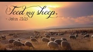 Feed My Sheep: John 21