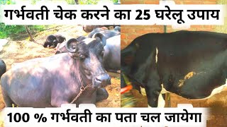 25 ways to check whether a cow or buffalo is pregnant or not | Gaay Bhains Garbhvati hai ya nahi ?