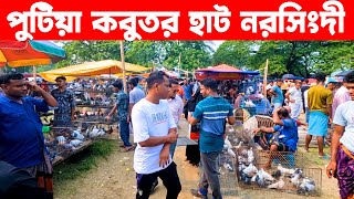 পুটিয়া কবুতর হাট ১২-১০-২০২৪ || kobutor hat 2024 || bangladesh pigeon market || putia kobutor hat