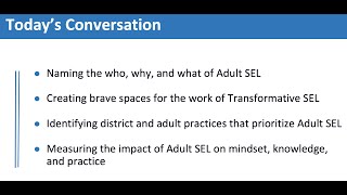 Part 2 of 5: SEL as a Lever for Equity: Adult SEL to Support Antiracist Practices
