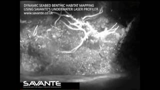 Savante Subsea and Underwater Lasers: Benthic seabed mapping survey topography