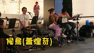 蕭煌奇經典名曲[候鳥]-cover by 米米Mi/艾克樂團-2024.9.2信義商圈