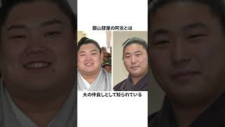 【相撲】若元春に関する雑学